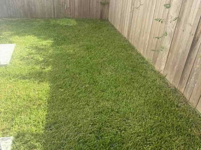Lawn Care service in Edinburg, 78539