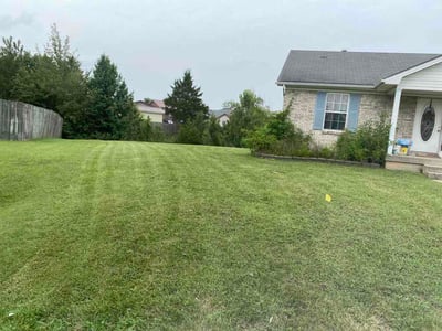 Lawn Care service in Washington, 15301