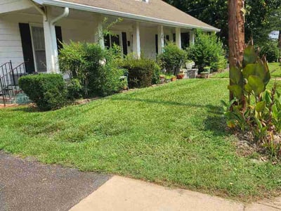 Lawn Care service in Leland, 28451