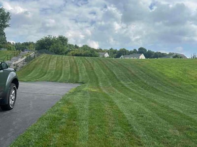 Lawn Care service in Ellington, 06029
