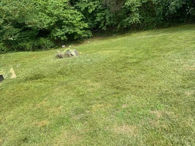 Lawn Care service in Ellington, 06029