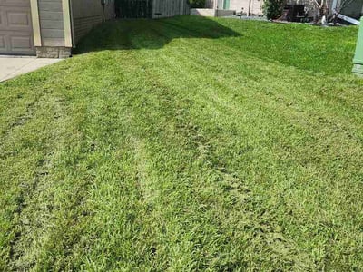Lawn Care service in Bountiful, 84010