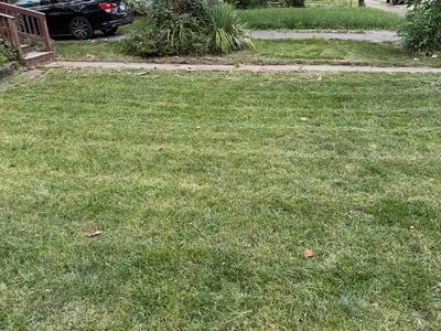 Lawn Care service in Lebanon, 46052