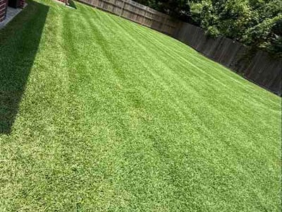 Lawn Care service in Alexandria, 71301