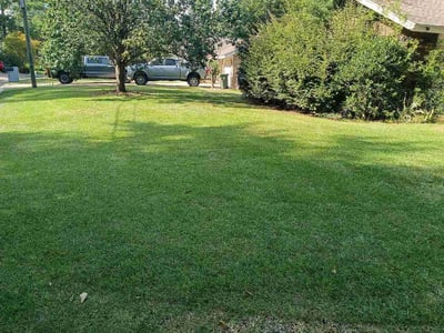 Lawn Care service in Hattiesburg, 39401
