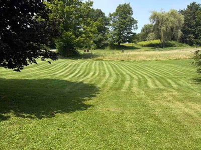 Lawn Care service in Queensbury, 12804
