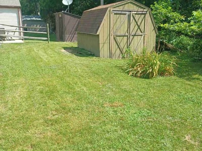 Lawn Care service in Swanton, 43558