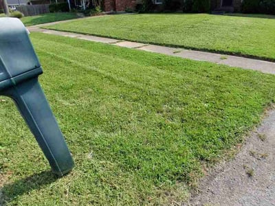 Lawn Care service in Souderton, 18964