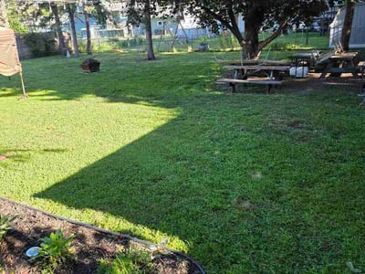 Lawn Care service in Hudson, 54016