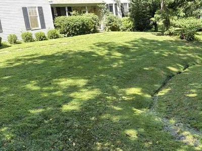 Lawn Care service in West Chester, 19380