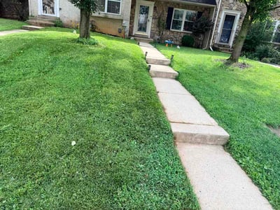 Lawn Care service in West Chester, 19380