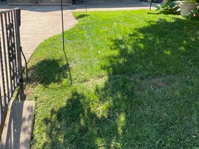 Lawn Care service in Broomall, 19008