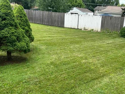 Lawn Care service in Pittsfield, 01201
