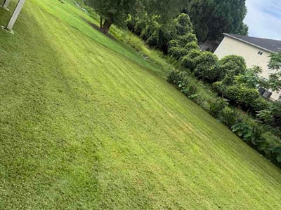 Lawn Care service in Gainesville, 30501
