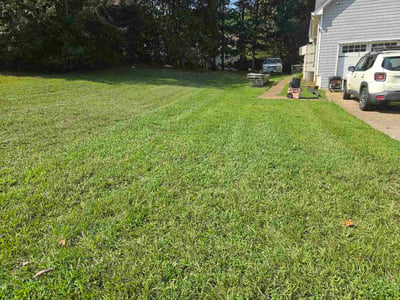 Lawn Care service in Gainesville, 30501