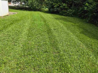 Lawn Care service in Kingston, 37763