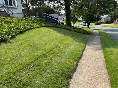Lawn Care service in Brookhaven, 19015