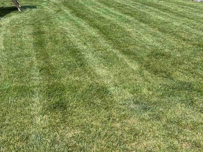 Lawn Care service in Kingston, 37763