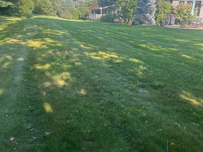 Lawn Care service in Hellertown, 18055