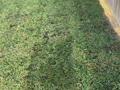 Lawn Care service in Redding, 96001