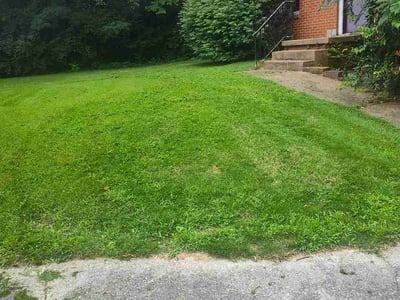 Lawn Care service in Kingston, 37763