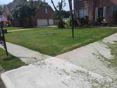 Lawn Care service in Kingston, 37763
