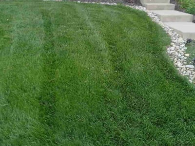 Lawn Care service in Butler, 16001