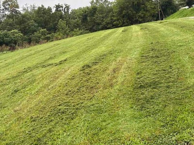Lawn Care service in Ross Township, 15237