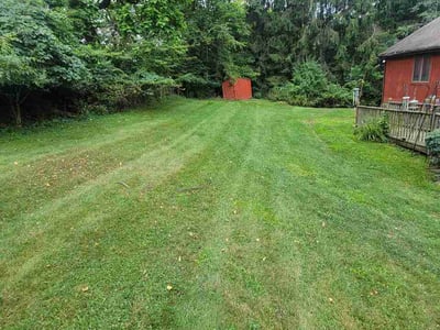 Lawn Care service in Coraopolis, 15108
