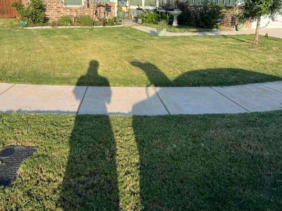 Lawn Care service in Abilene, 79602