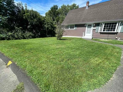 Lawn Care service in Ansonia, 06401