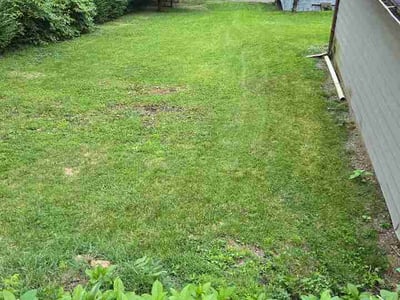 Lawn Care service in Beaver Falls, 15010