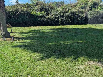 Lawn Care service in Inverness, 34452