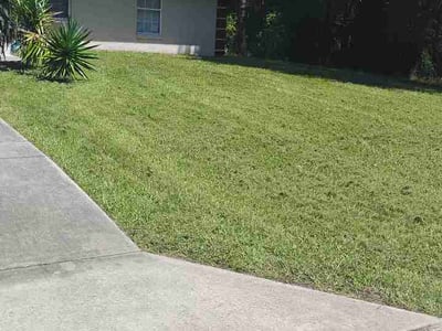Lawn Care service in Inverness, 34452