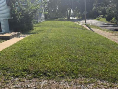 Lawn Care service in Ottawa, 61350
