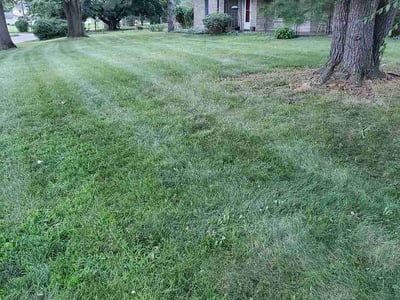 Lawn Care service in Elkhart, 46516