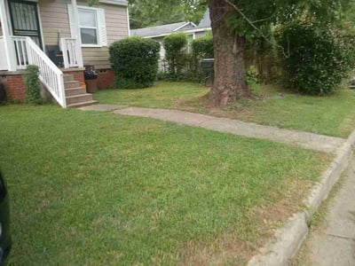 Lawn Care service in Cabot, 72023