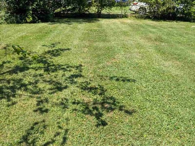 Lawn Care service in Dormont, 15216