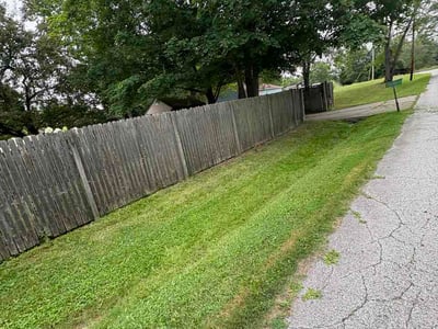 Lawn Care service in Jamestown, 14701
