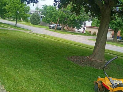 Lawn Care service in Jamestown, 14701