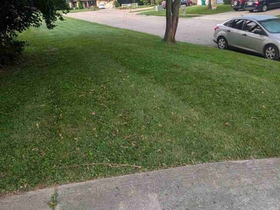 Lawn Care service in Corydon, 47112