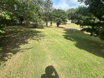 Lawn Care service in Bakersfield, 93301