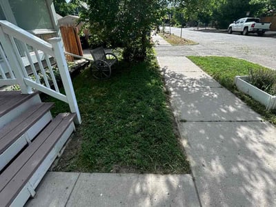 Lawn Care service in Bakersfield, 93301