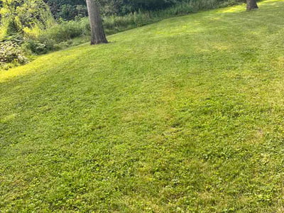 Lawn Care service in New Castle, 16101
