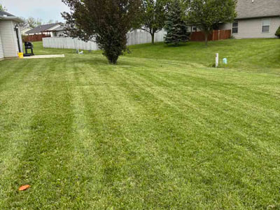 Lawn Care service in New Castle, 16101