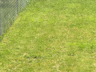 Lawn Care service in Savage, 55378
