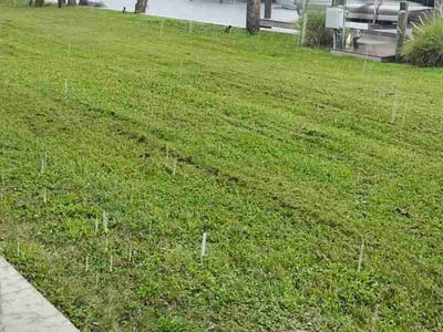 Lawn Care service in Crystal River, 34428