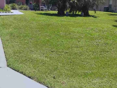 Lawn Care service in Crystal River, 34428
