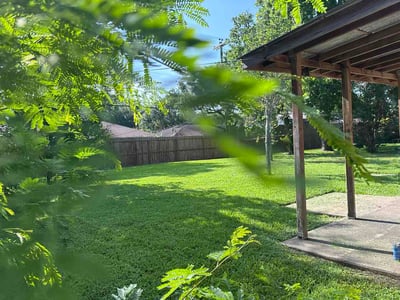Lawn Care service in Donna, 78537