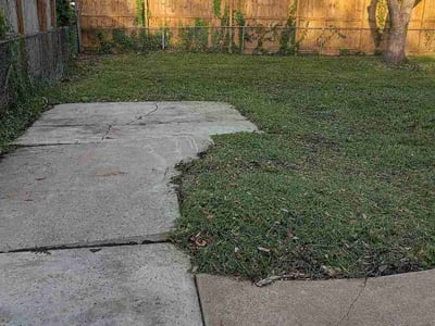 Lawn Care service in Donna, 78537